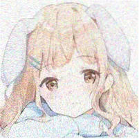 书友 逆风一号道 的头像